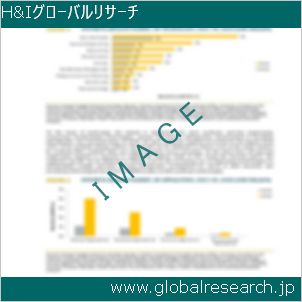 グローバルリサーチ調査レポートのイメージ